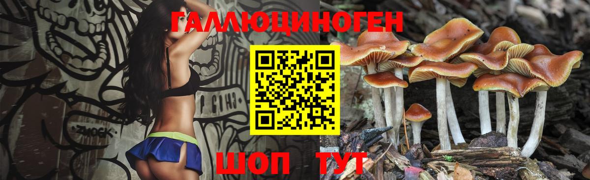 Псилоцибиновые грибы Magic Shrooms  купить закладку  Вход с VPN  Старая Купавна  Псилоцибиновые грибы Psilocybe 